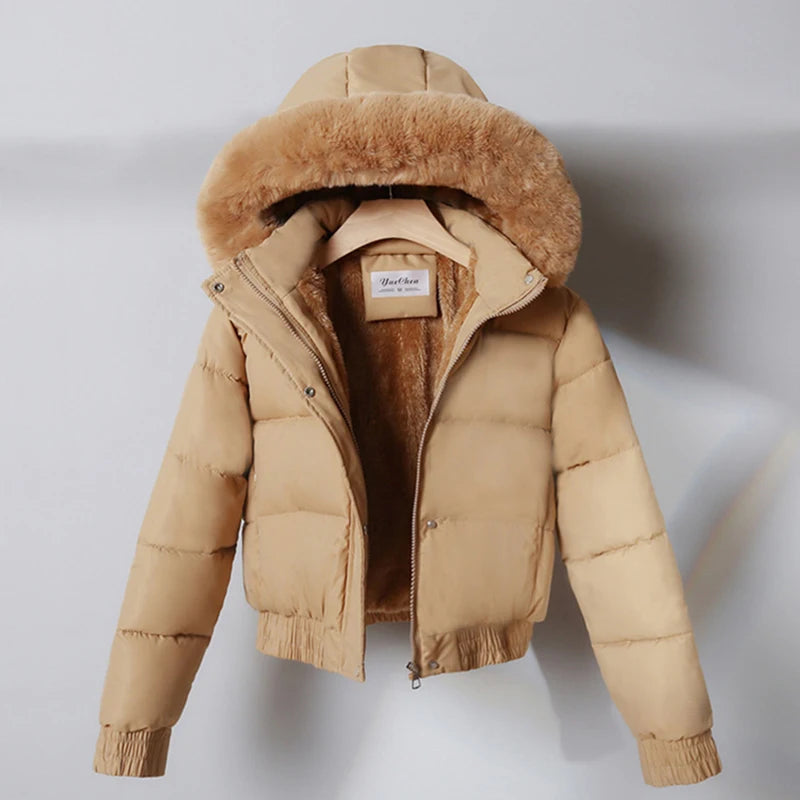 Damen Winter Kapuzen Pufferjacke | Warme