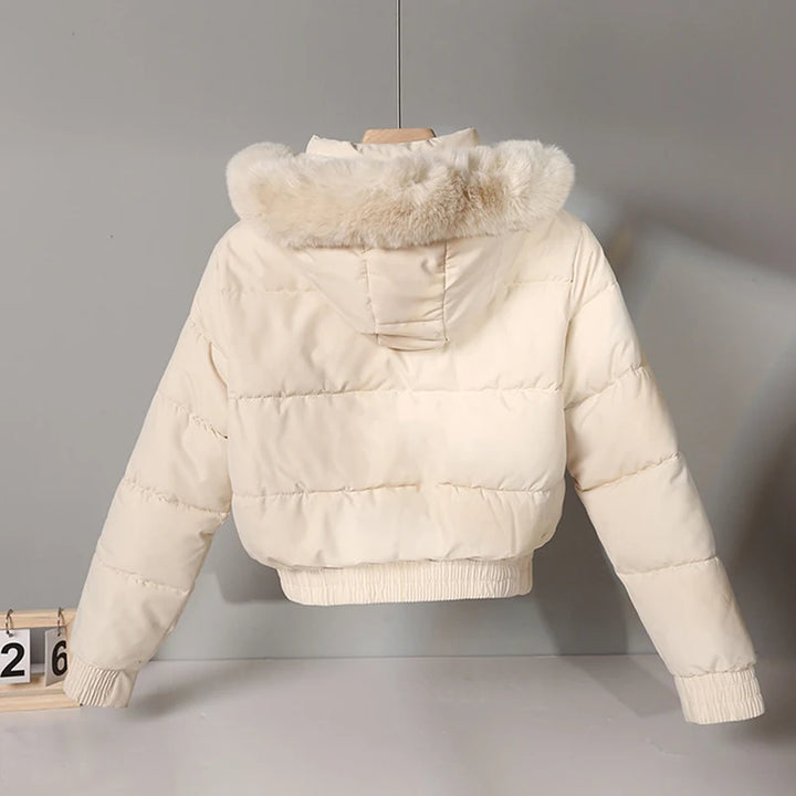 Damen Winter Kapuzen Pufferjacke | Warme